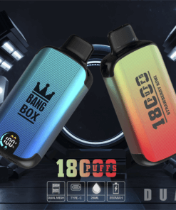 Bang jetable double mode 18000